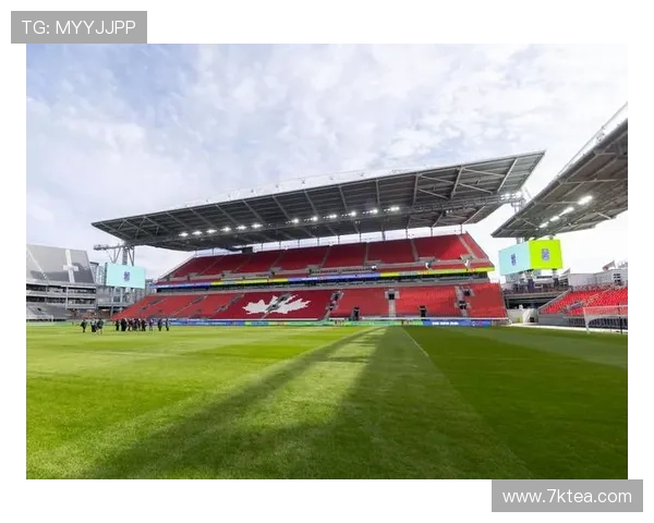 卢氏足球场世界杯体育论坛